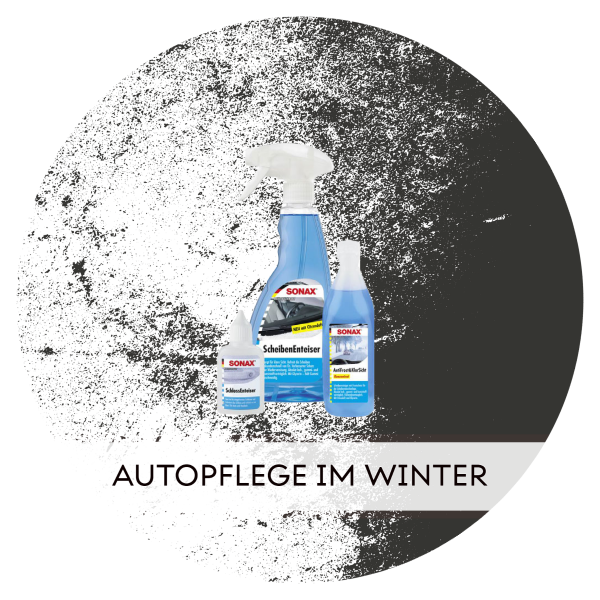 https://kingsize-autopflege.de/media/image/category/2398/lg/winter-autopflege.png