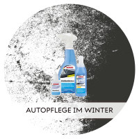 Autopflege-im-Winter