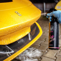 Insektenentfernung mit BadBoys RRCustoms