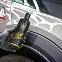 Kunstoffpflege außen von BadBoys RRCustoms