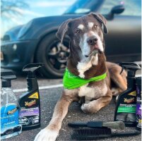 Meguiars Polsterreiniger