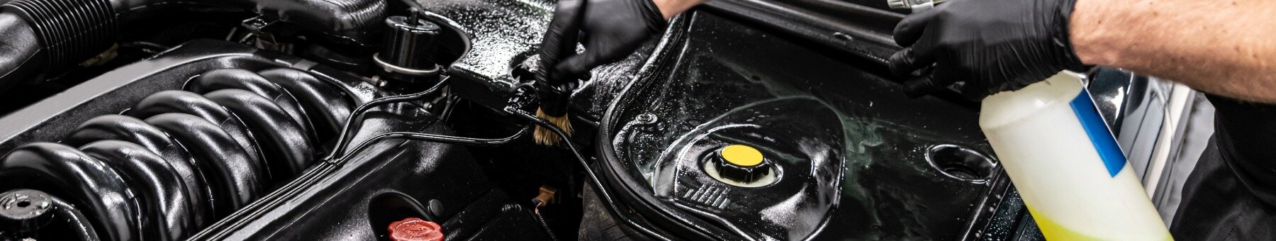 Reiniger & Zubehör für schonende Motorreinigung online bestellen