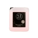servFaces Motor Care & Clean - Motorraumpflege 10 Liter