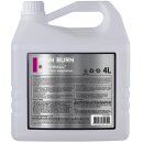 FIREBALL IRON BURN | Flugrostentferner 4000ml