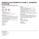 BadBoys Acid Shampoo & Foam 1L | Shampoo & Schaum