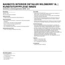 BadBoys Interior Detailer WildBerry 5L | Kunststoffpflege...