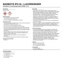 BadBoys IPA 5L | Lackreiniger