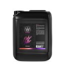 BadBoys Odor Killer 5L | Geruchskiller Smoke Ex