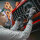 BadBoys Panel Wipe 500ml | Entfetter