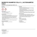 BadBoys Shampoo Cola 1L | Autoshampoo Cola