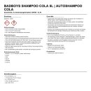 BadBoys Shampoo Cola 5L | Autoshampoo Cola