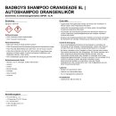 BadBoys Shampoo Orangeade 5L | Autoshampoo Orangenlikör