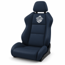 Lederfarbe Audi – maritim – 500 g