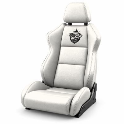Lederfarbe Mercedes-Benz – weiss 1112 Altgenarbt – 250 g