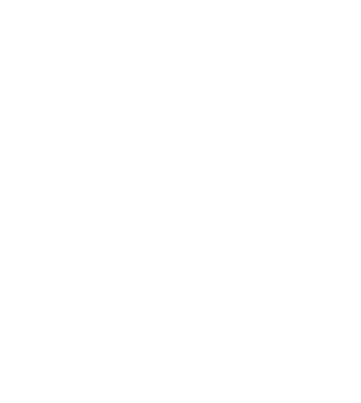 Kingsize Autopflege